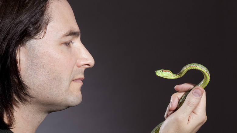 Steve Ludwin and a snake