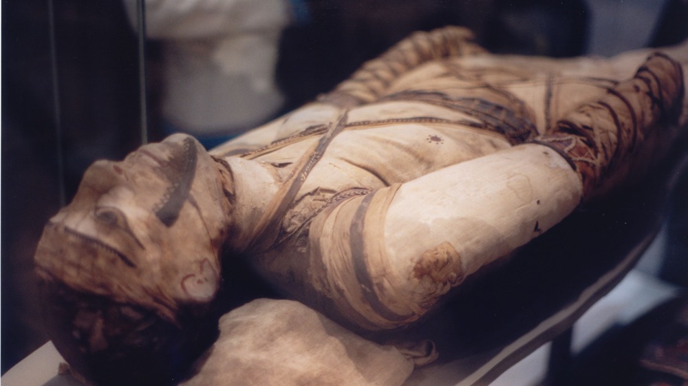 mummy in the British Museum