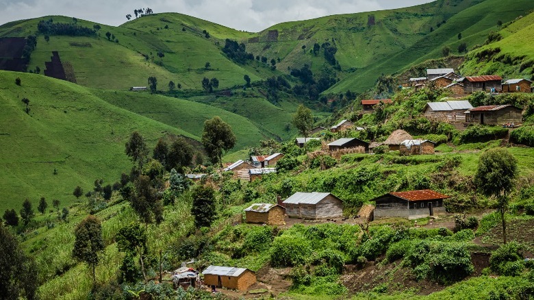 A village in the Democratic Republic of Congo