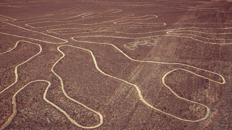 Squiggly Nazca lines