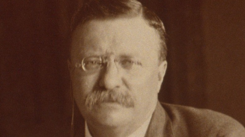 Close-up of Theodore Roosevelt 