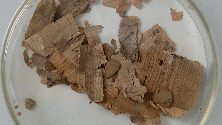Papyri fragments