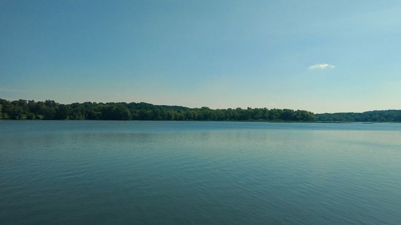 lake springfield missouri lined with trees