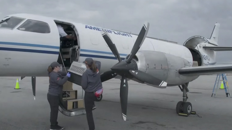 volunteers load pet carrier onto charter plane