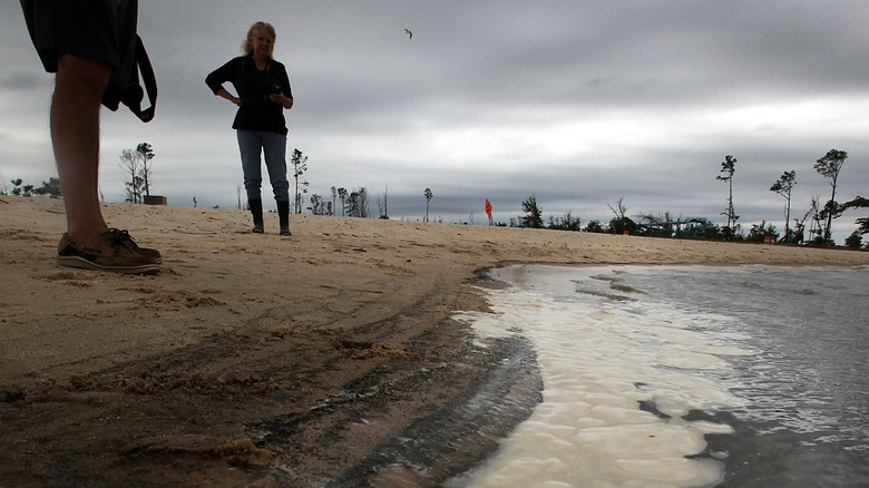 volunteers deepwater oil spill beach 
