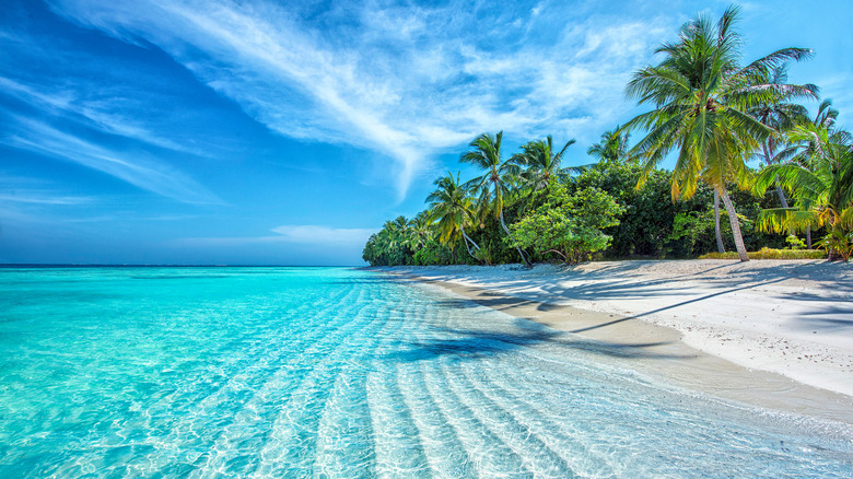 The Maldives Beach