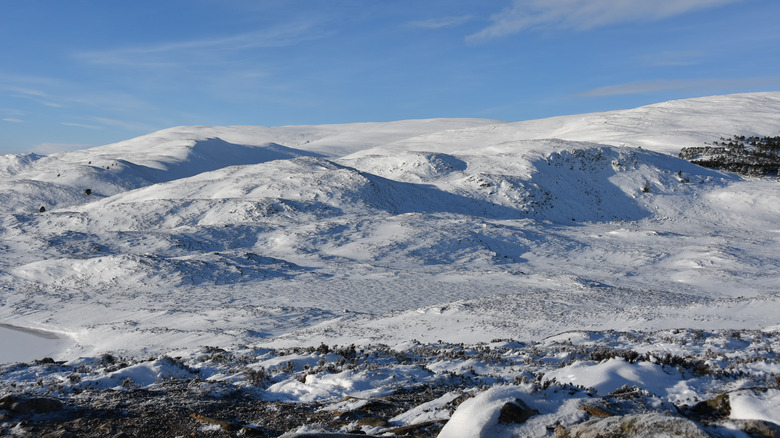 Cairngorms covered by snow