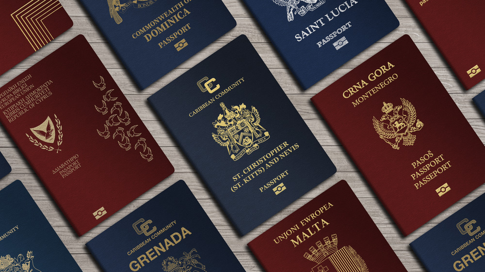 foreign passports from many countries 
