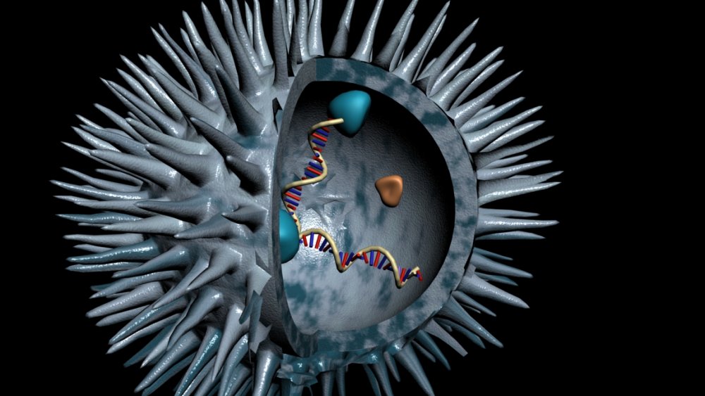 3D representation of HIV viron