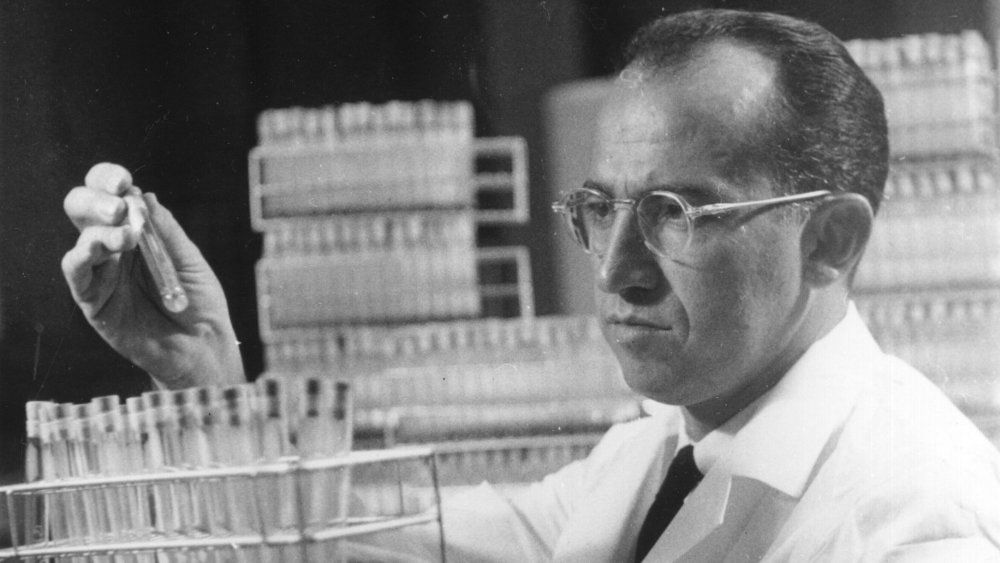 Jonas Salk, who discovered the first vaccine against poliomyelitis, at work in the Virus Research Laboratory at the University of Pittsburgh Medical School.