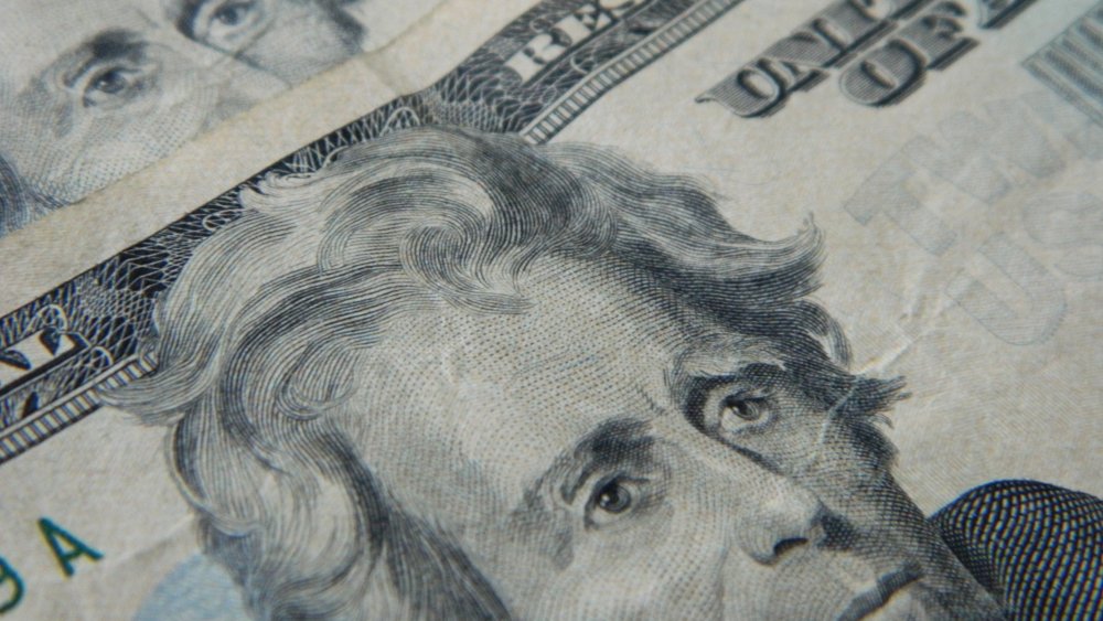 Andrew Jackson on $20 bill