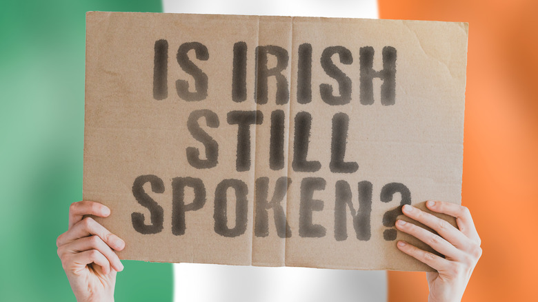 "Is Irish Still Spoken?" sign