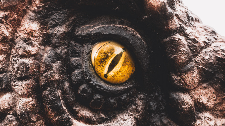 up close of yellow tyrannosaurus rex eye