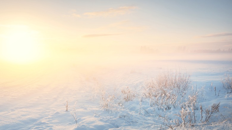 sunset Lapland Finland snowy terrain