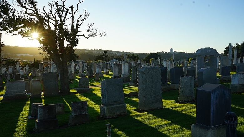 The Jewish cemetery in Colma, CA