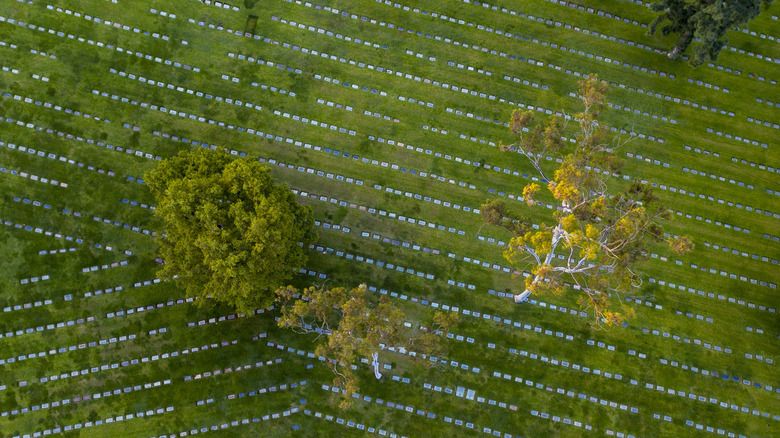 Aerial photo of Forest Lawn, Glendale