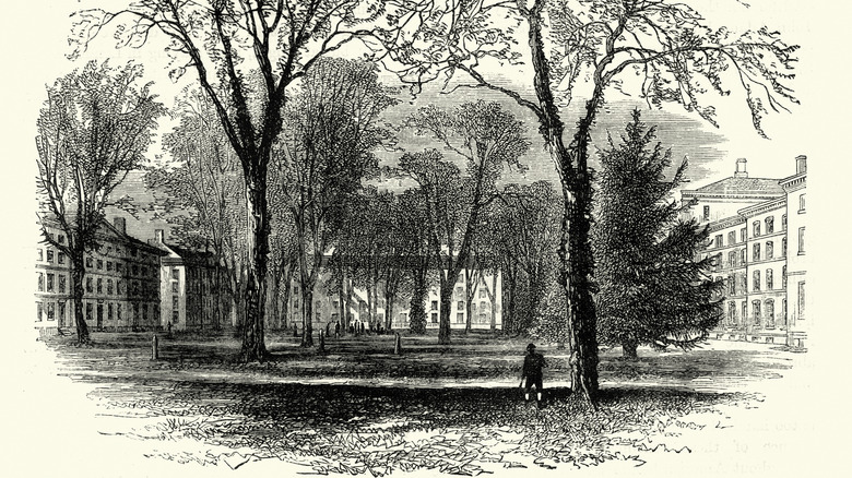 vintage engraving of Harvard