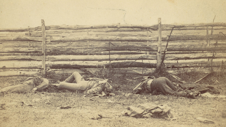 Casualties at Sharpsburg