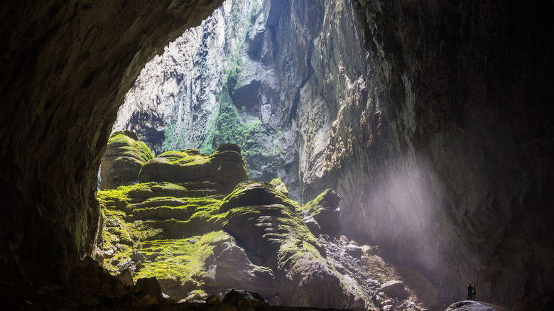 a view in Son Doong cave