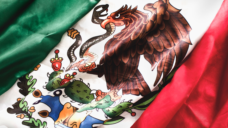 eagle on snake image mexican flag