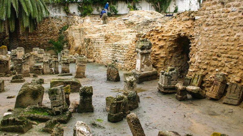 Carthage tophet excavation