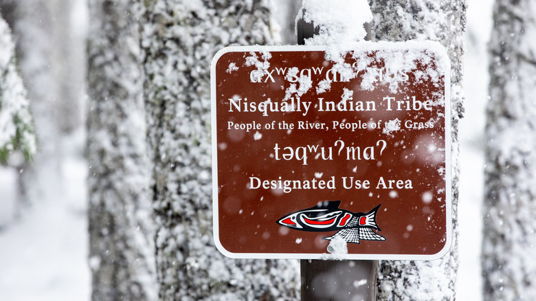 Nisqually Indian Tribe designated use area sign