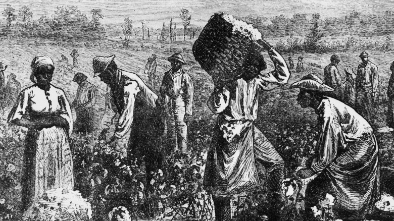 Slaves working in field