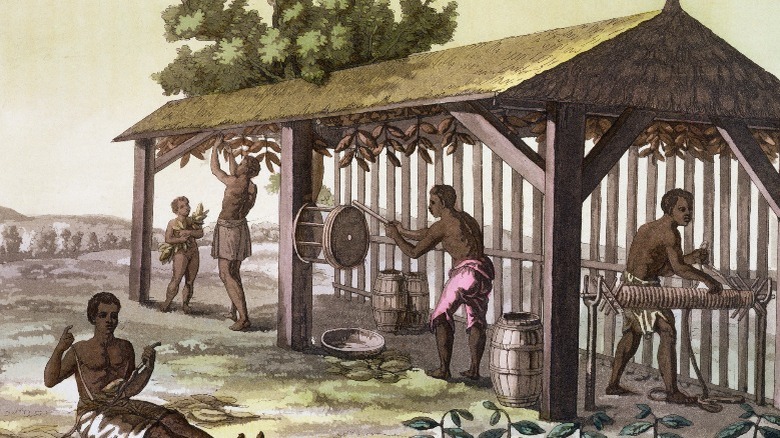 Slaves preparing tobacco