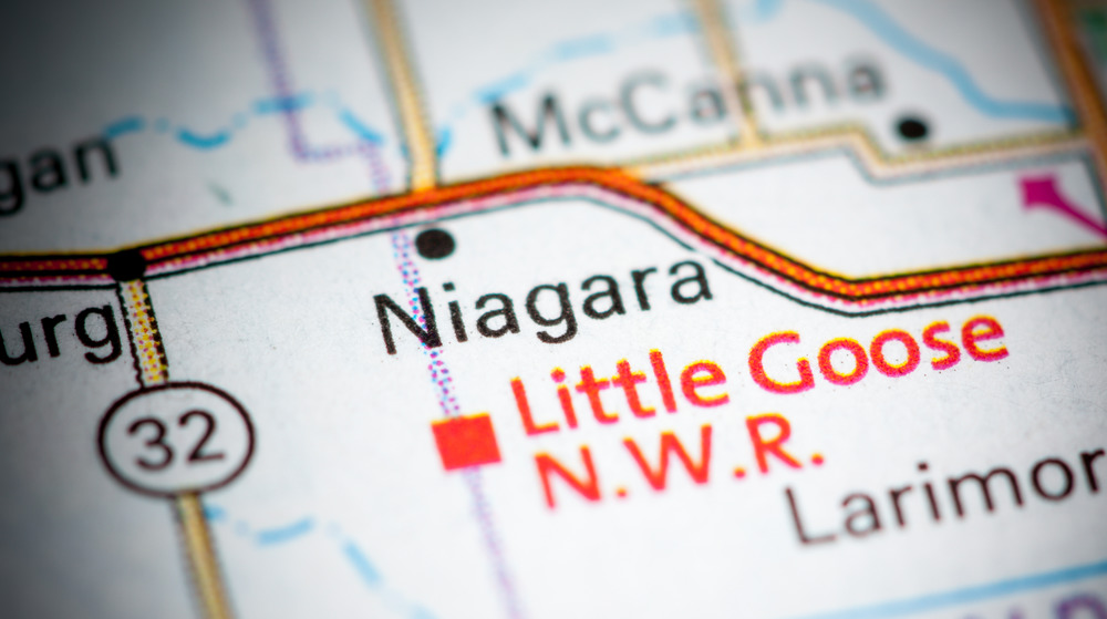 map of Niagara, North Dakota