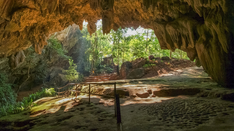Tham Luang Cave entrance with green forest background