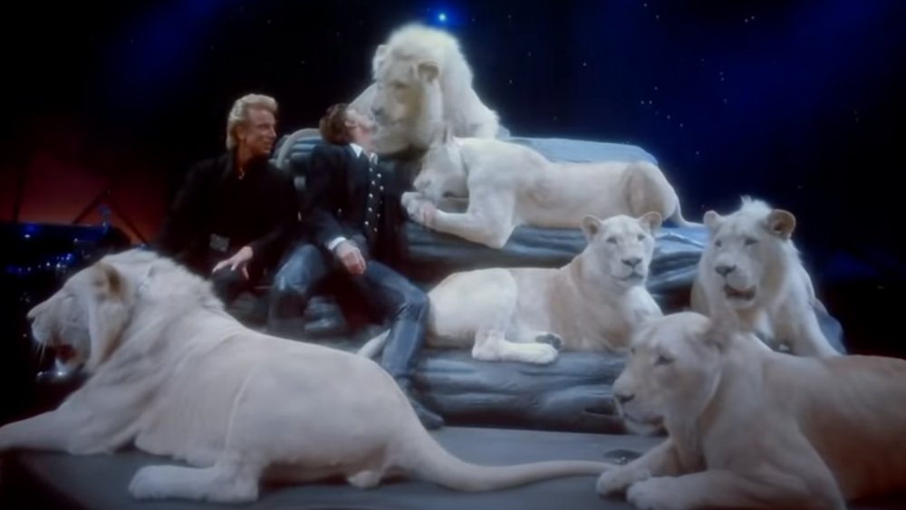 Siegfried and Roy and friends