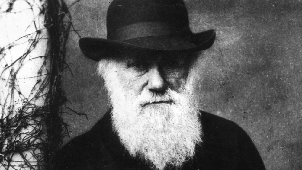 Charles Darwin had a beard