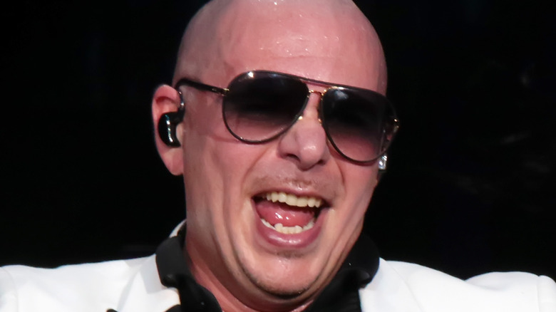 Pitbull laughing sunglasses