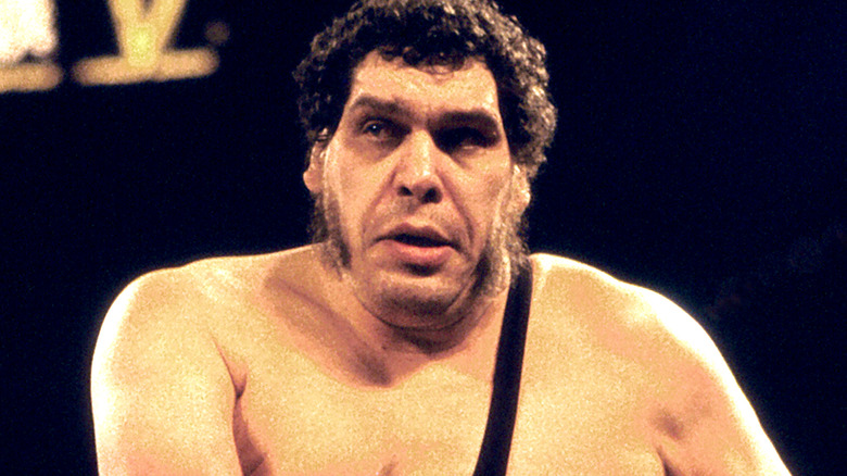 Andre the Giant looking on