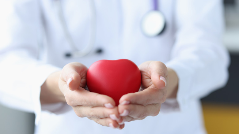 Doctor holding model of heart