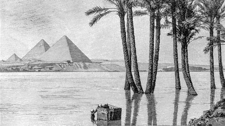Illustration Nile flood trees pyramids