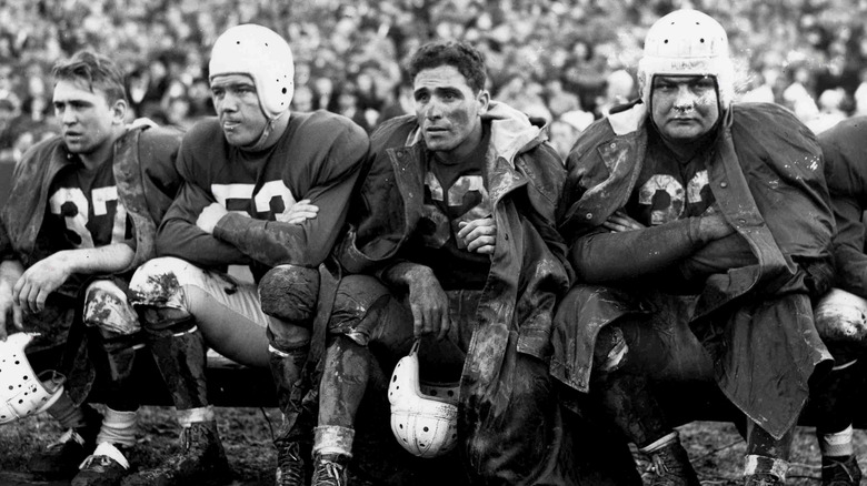 Chicago Cardinals players on the bench