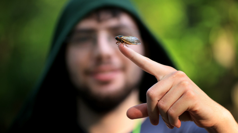 A cicada perched on the finger of a hooded man