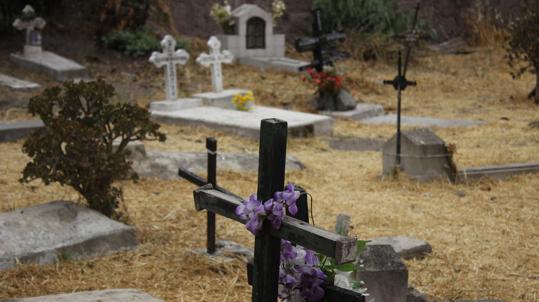 Graves in a Cemetery