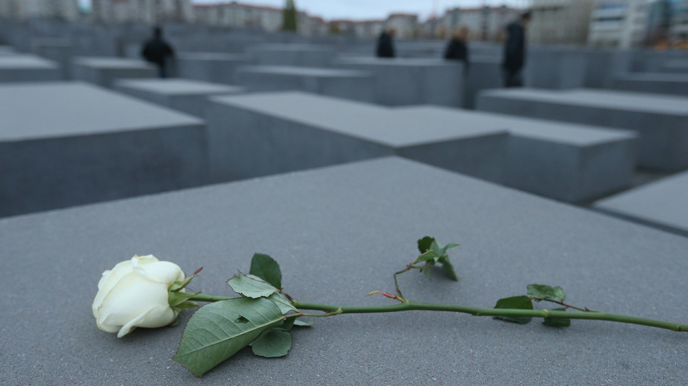 rose on the memorial to world war II holocaust