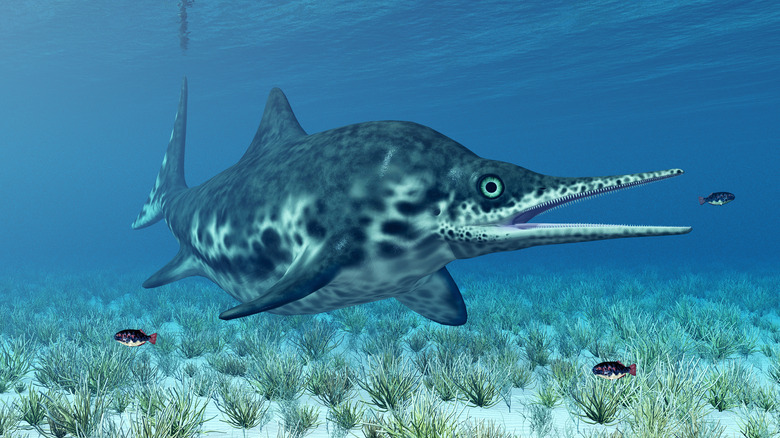Artist's impression of an ichthyosaur.