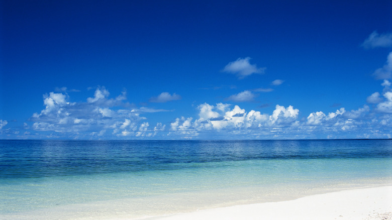 The open sea, seen from a beach of white sand.