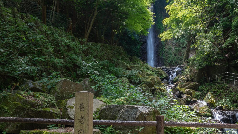 Yoro Falls in Japan