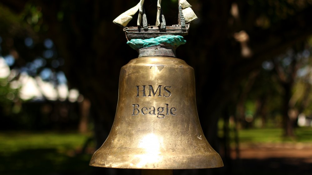 HMS Beagle Bell