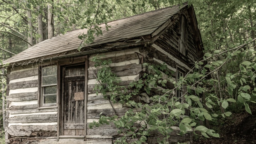 Old Cabin in Ohio