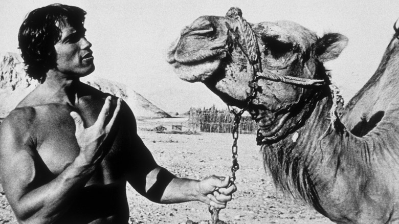 Young bodybuilder Arnold Schwarzenegger with a camel 