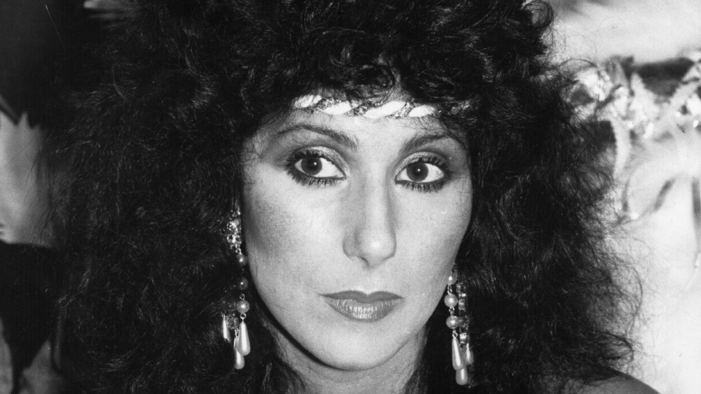 Cher in 1980