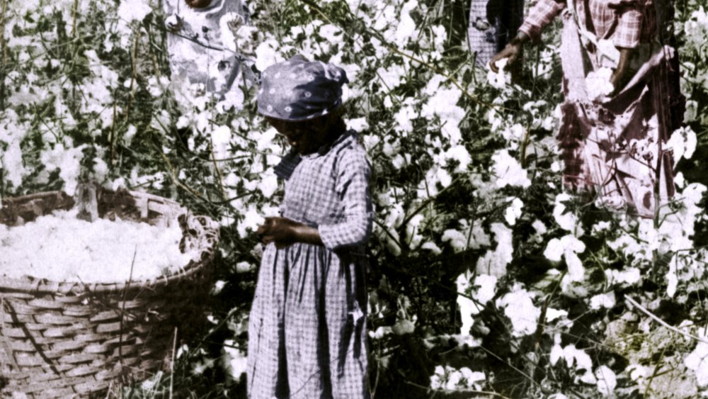 Little girl amongst people picking cotton on a plantation in Georgia, c1900. Colorized black and white photo