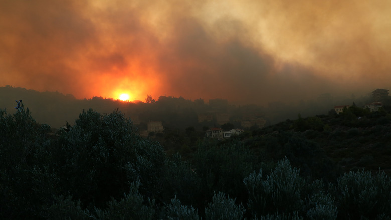 Wildfires in Greece