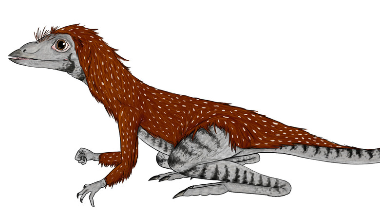Illustration of a small furry retile like creature, the Kongonaphon